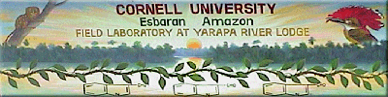 esbaranbanner